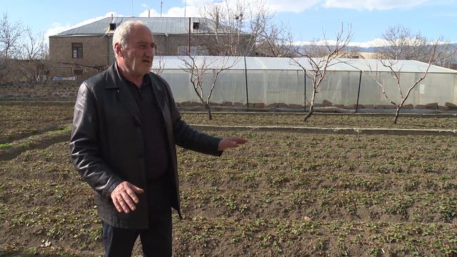 Ելակի մշակության տեխնոլոգիաները смотреть онлайн