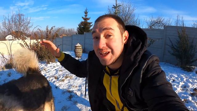 ОПАСНЫЕ ПОКАТУШКИ! Хаски тянет сани / ЯЗЫК ПРИМЕРЗ К ЖЕЛЕЗУ смотреть онлайн