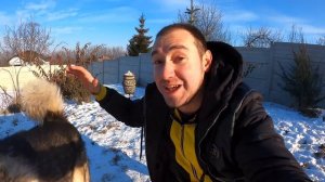 ОПАСНЫЕ ПОКАТУШКИ!  Хаски тянет сани / ЯЗЫК ПРИМЕРЗ К ЖЕЛЕЗУ