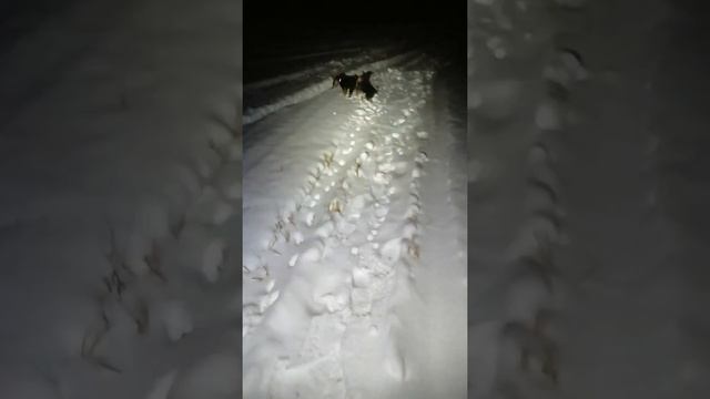 Когда не хочешь но надо! смотреть онлайн