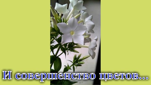 ЕЩЕ ТОЛЬКО ОСЕНЬ, А УЖЕ СКУЧАЮ ПО ДАЧЕ смотреть онлайн