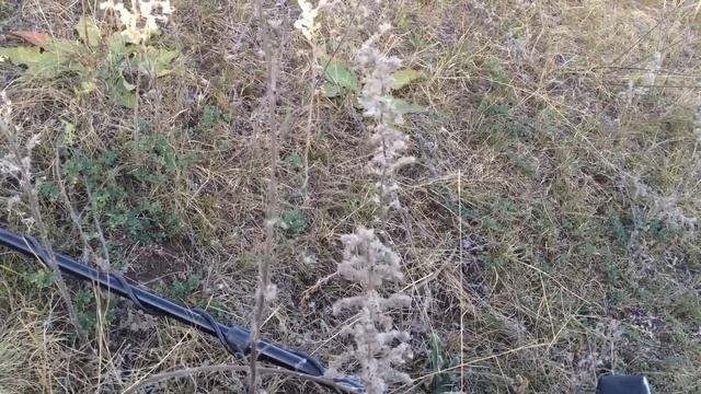 На исчезнувших улицах ч.3 Отлично копнул смотреть онлайн