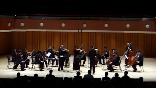 Concerto For Two Violins - Efrem Podgaits