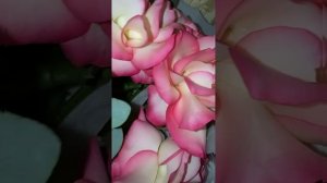 С Международным женским днём!