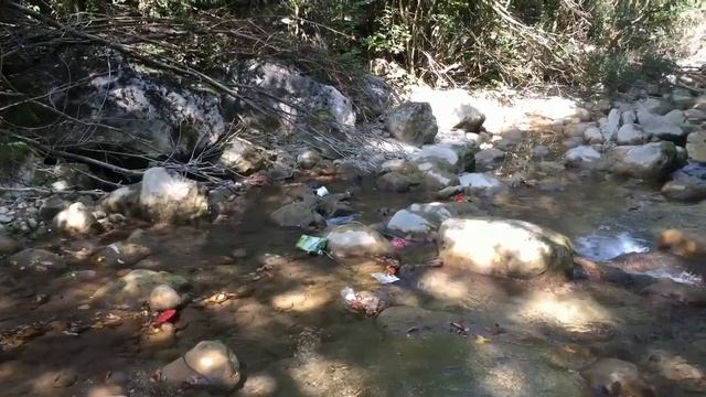 Социальные экоролики 4 отряд 4 смена 2017 Вода смотреть онлайн