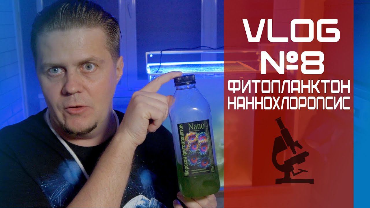 VLOG 8 Фито смотреть онлайн