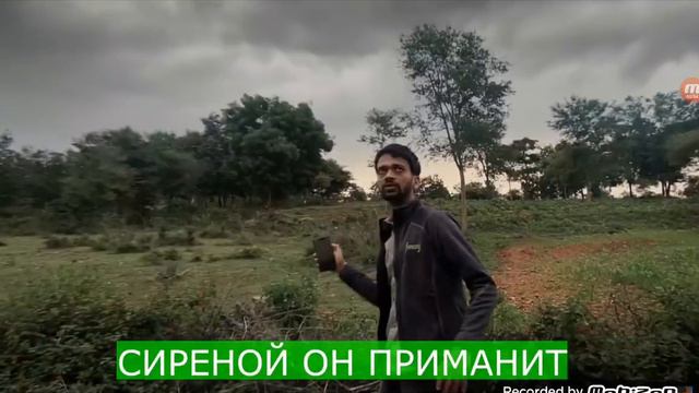 малиновая Лада смотреть онлайн