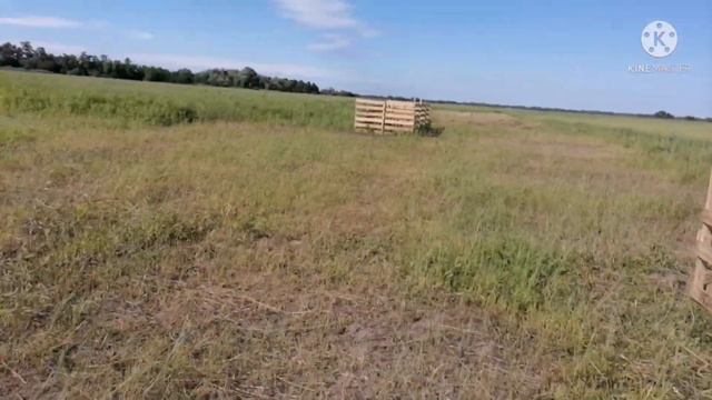 Так и живем🤨Месяц в поле смотреть онлайн