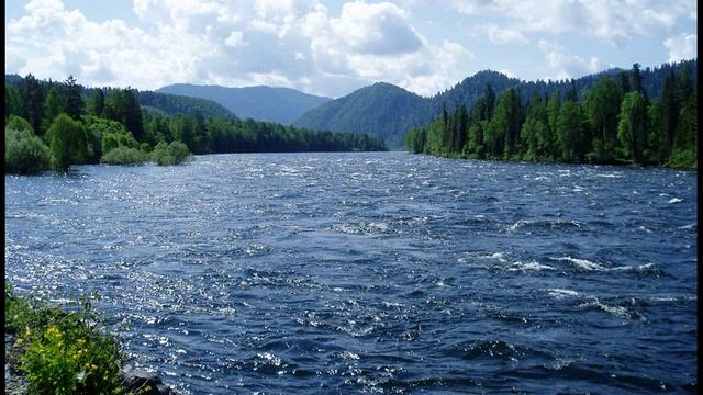 мультфильм по экологии Земля и Человек