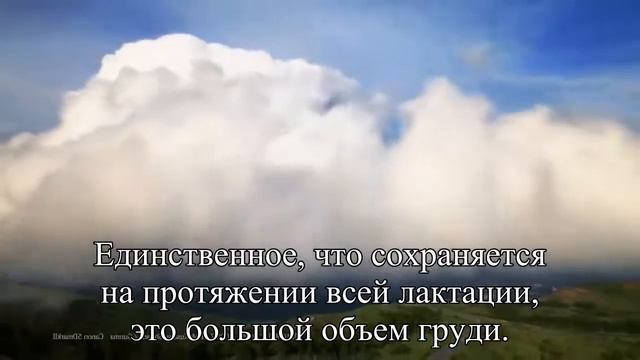 Молочные реки — порошковые берега — Статья смотреть онлайн