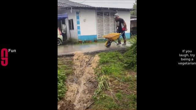 TRY NOT TO LAUGH 😆 Best Funny Videos Compilation 😂😁😆 Memes PART 168 смотреть онлайн