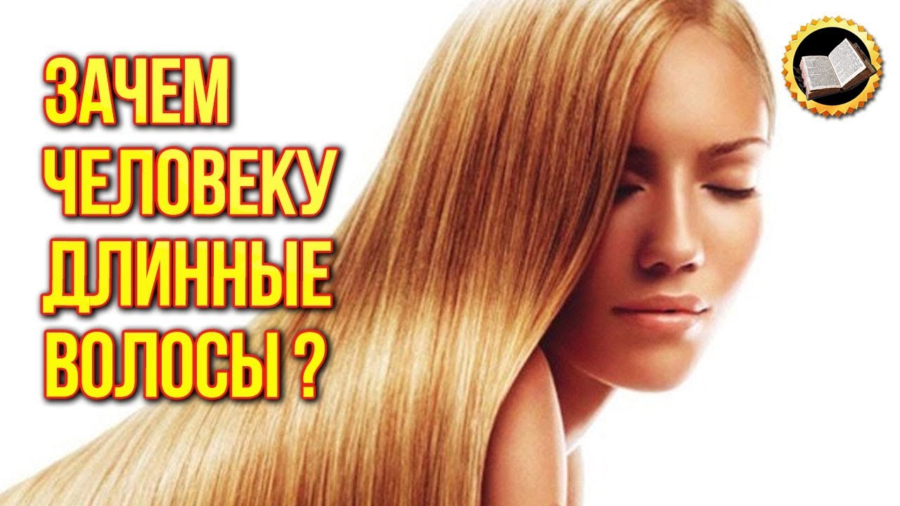 Зачем человеку длинные волосы? Тайна длинных волос. Информация о волосах смотреть онлайн
