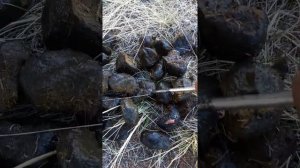 ИВЕРМЕК ГЛИСТЫ