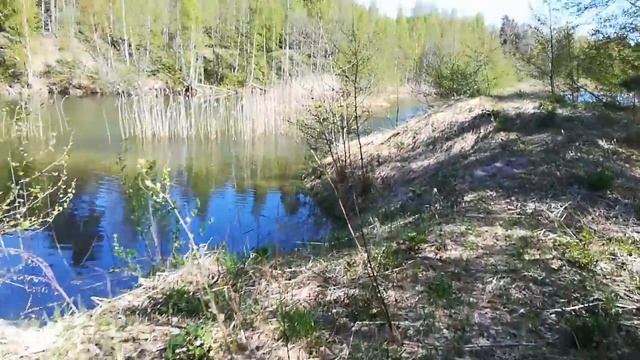 Рыбалка на Карьере. Псковская область. Часть 1. смотреть онлайн