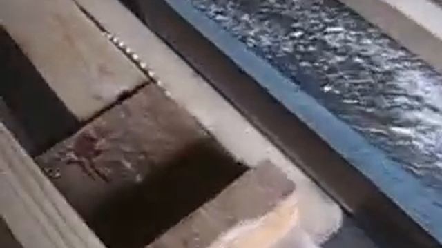 Ширмы 1 смотреть онлайн