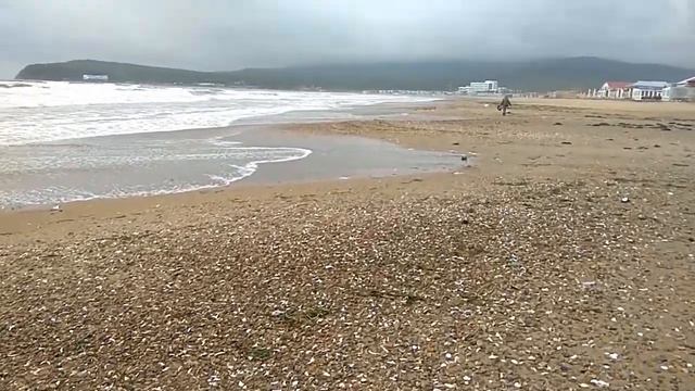 Шамора после тайфуна 22 09 2021. смотреть онлайн