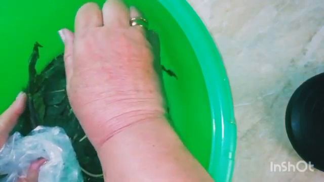 Ароматный мятный? чай со своей грядки☕