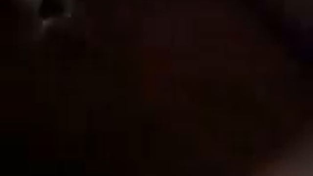 zoe the rat terrier jumping смотреть онлайн