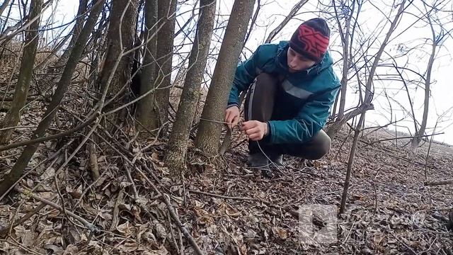 ПЕТЛЯ ЛОВУШКА НА ФАЗАНА!!!ОХОТА НА РАЗНУЮ ДИЧЬ!!! смотреть онлайн