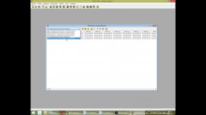 Project Expert. Таблицы пользователя