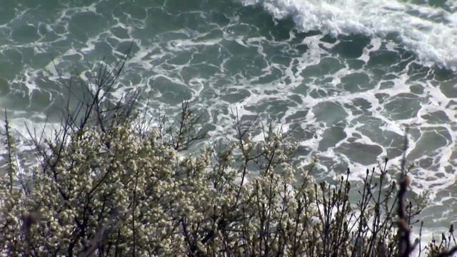 От Църни Дрин до Църно море -- Володя Стоянов-Войводата смотреть онлайн
