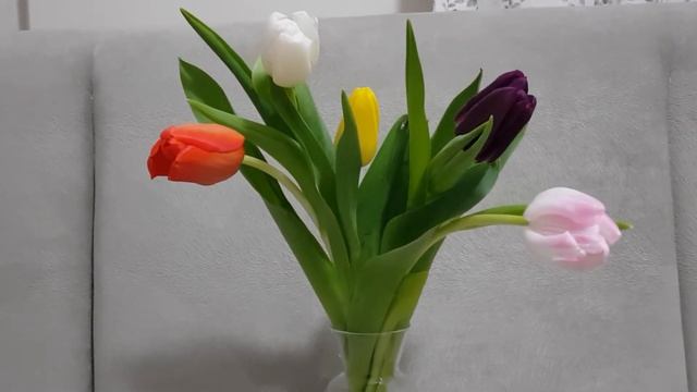 Цветы для себя любимой смотреть онлайн