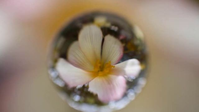 ПОЛЁТ ДУШИ....ОТКРЫТИЕ ЧАКР Карунеш.wmv