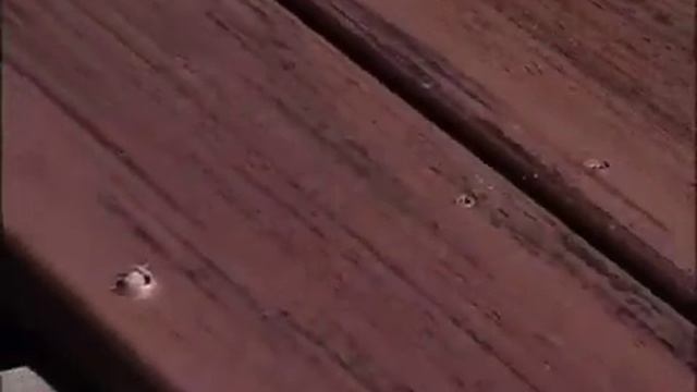 Instalación De Tablones Macizos Timbertech