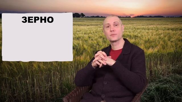 КАК СВЯЗАНЫ СЛОВА ЗОЛОТО, ГРАММ, ГРАММАТИКА, ЗЁРНА, ЗЛАКИ И ИХ ЗНАЧЕНИЯ смотреть онлайн