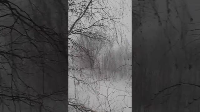 06.05.2022 Снежный буран в Сургуте! смотреть онлайн