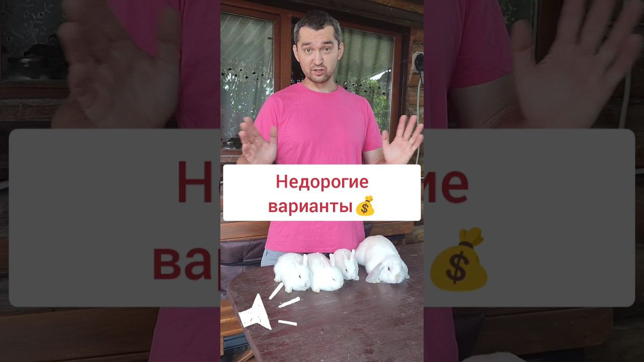 ✅Недорогие декоративные кролики ✅ смотреть онлайн