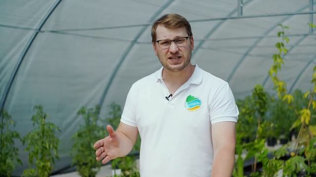 Эликсир для цитрусовых от Органик Микс / Подробно о продукции Органик микс смотреть онлайн