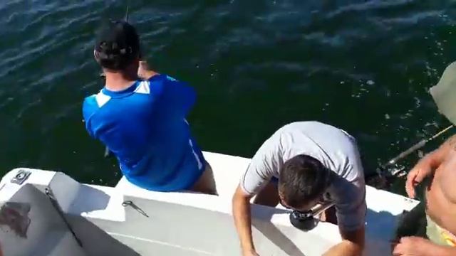 Фирсов А. П. Рыбалка смотреть онлайн