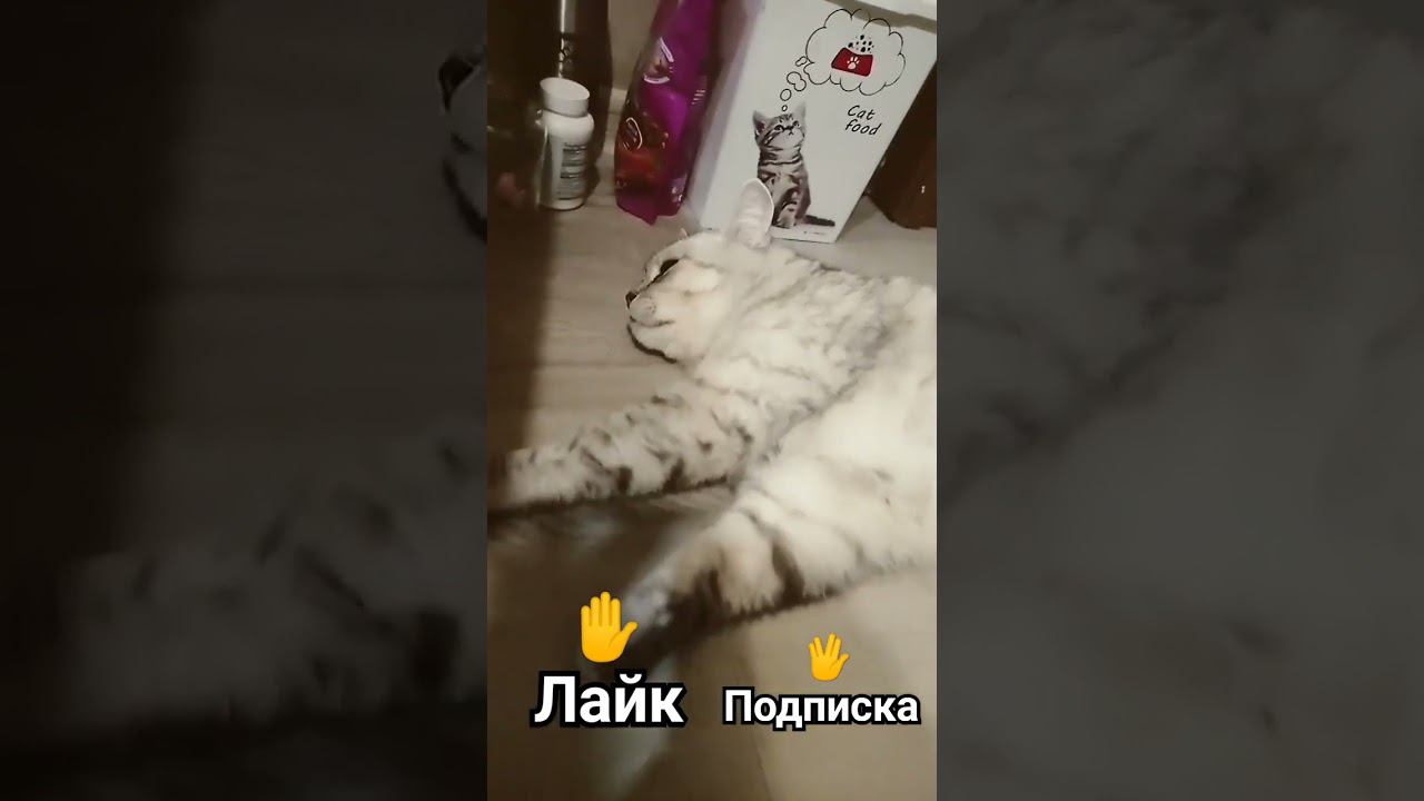Какие у тебя получились? #shorts смотреть онлайн