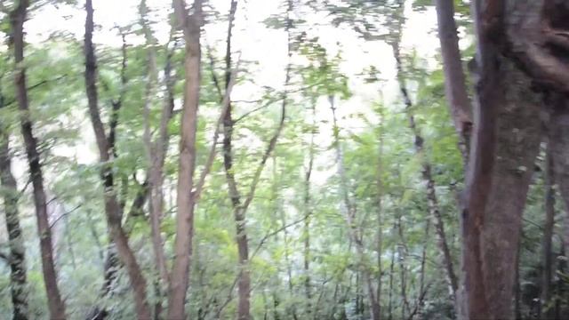 Москва. Улица Косыгина и Воробьевы горы (2016.07.31) смотреть онлайн