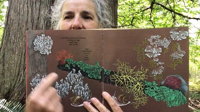 Plants That Never Ever Bloom; Written and Illustrated by Ruth Heller; 1984; Read by Denise Bonin смотреть онлайн
