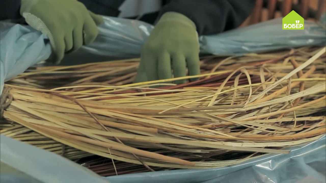 Как правильно замачивать лозу. ПЛЕТЕНИЕ из лозы. Секреты мастера смотреть онлайн