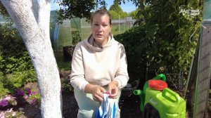 Скрутились листья на яблоне - срочная обработка.Плодожорка и листовертка охотно съедят урожай за ва