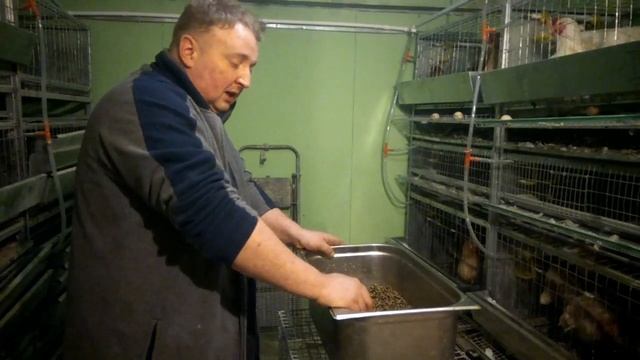 Травяная мука для кур-несушек смотреть онлайн