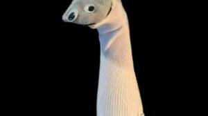 все фразы из игры baldi's basics