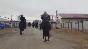 Ногайский поход на лошадях
