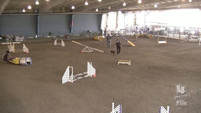 Audie - Feb 26 2012 Open Std - Mensona AKC.m4v смотреть онлайн