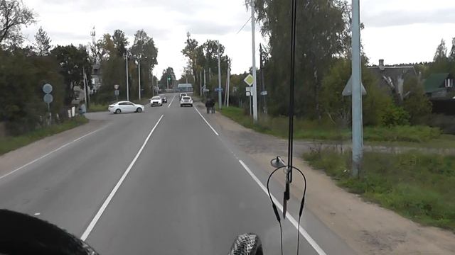 Лекция в автобусе смотреть онлайн