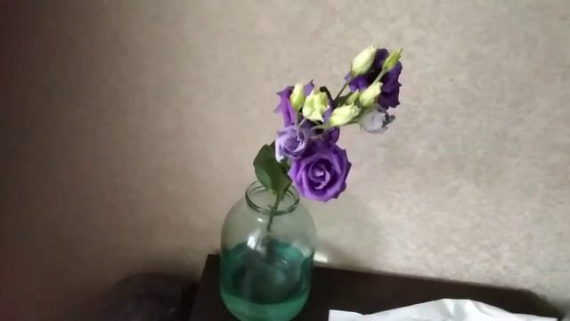 СИНИЕ РОЗЫ смотреть онлайн