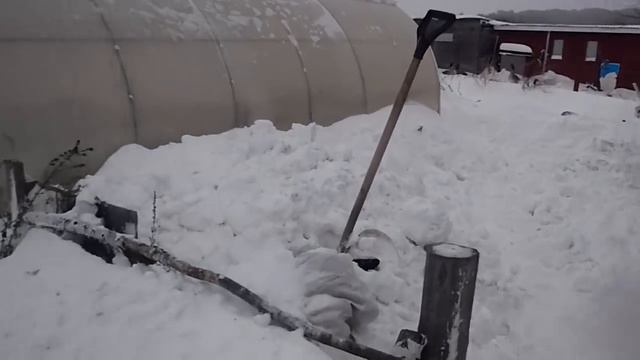 Снегопад . смотреть онлайн