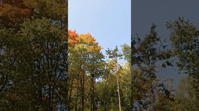 Кому нужен зонтик? В Выксе ясно! Полдень смотреть онлайн