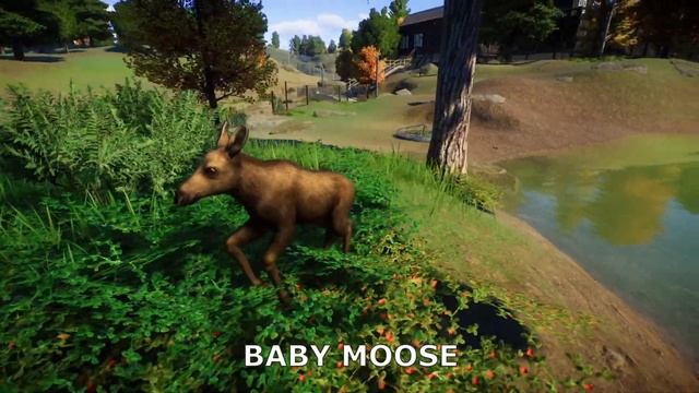 Planet Zoo: North America Pack DLC - All New BABY Animals - Showcase смотреть онлайн
