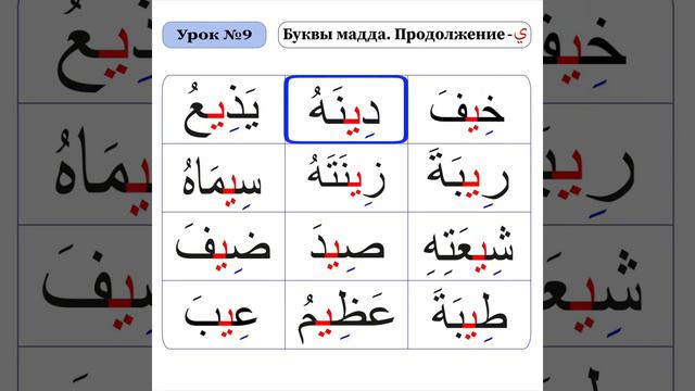 Зелавди Уроки Таджвида-9 Буквы мадда - (Продолжение - ي) смотреть онлайн