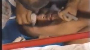 Бокс супер тяжелый вес  Дэвид Туа VS Джона Руиса, 1996 г.