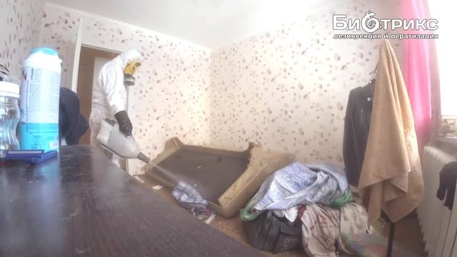 Дезинсекция:Как Происходит Обработка от Клопов в Квартире? смотреть онлайн
